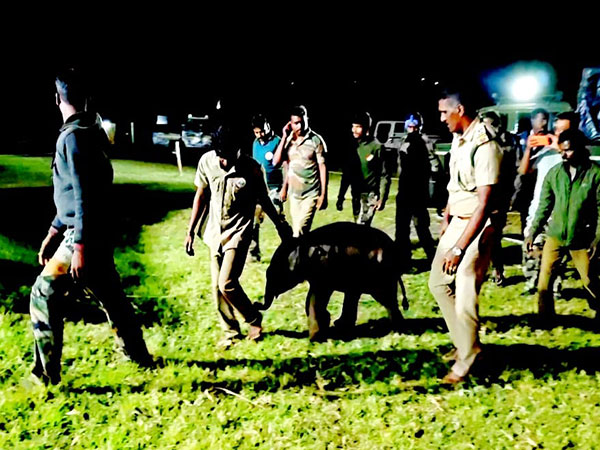 Rescued Elephant Calf Gets New Home at Theppakadu Camp