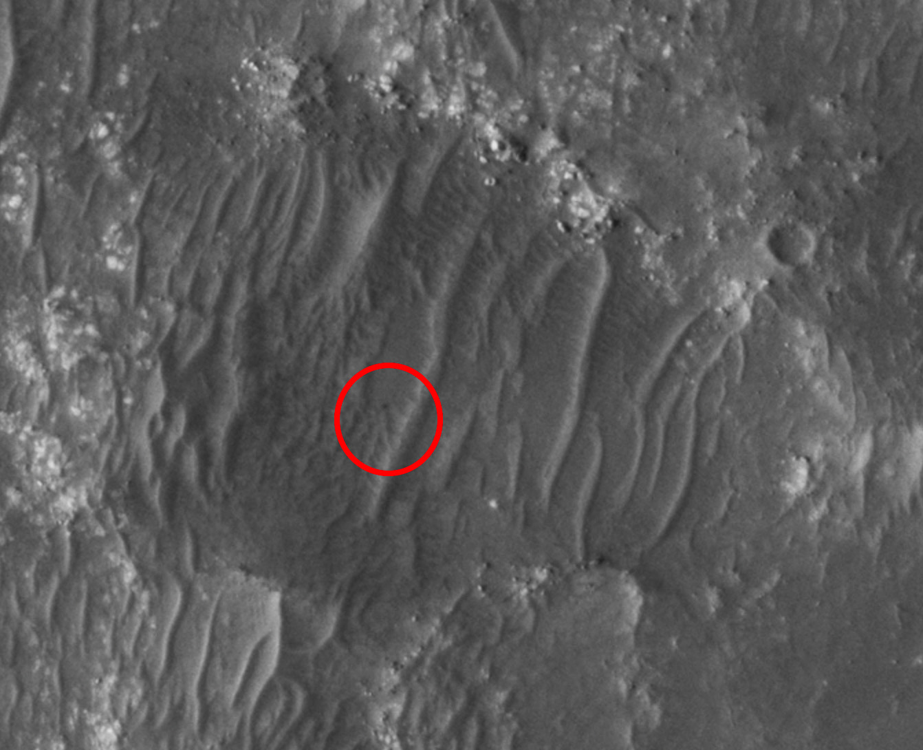Mars Orbiter de la NASA detecta un rover desde el espacio – Ver imágenes