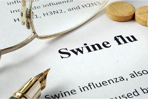 African Swine Fever confirmed in two farms in Kerala