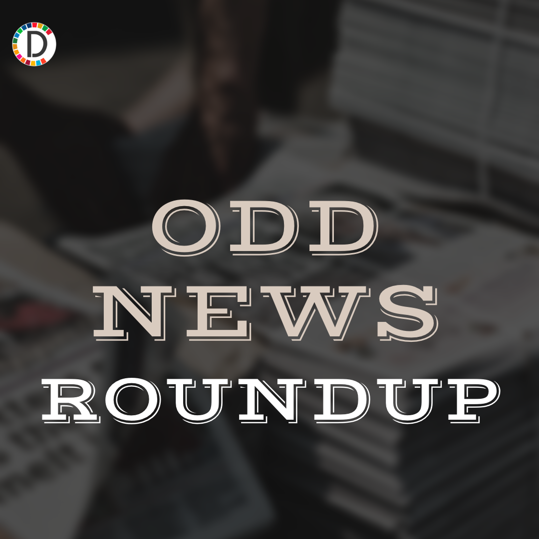 Odd News Roundup: Philippine collector amasses super-sized collection; World's longest pedestrian suspension bridge opens in Portugal and more