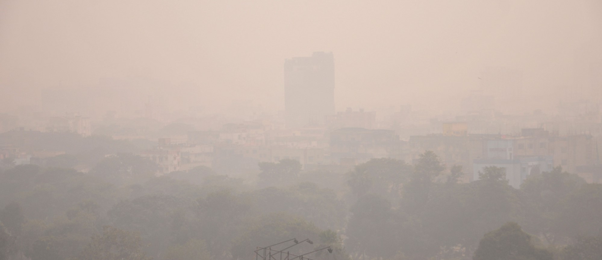 Cold, foggy morning in Delhi, haze to remain throughout the day