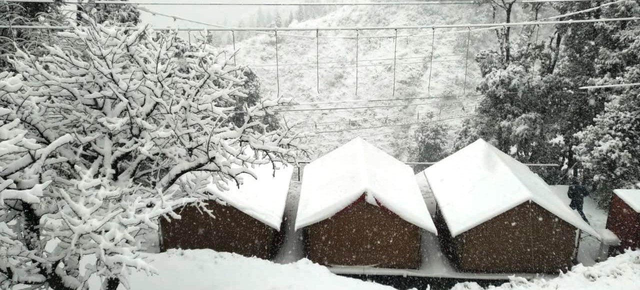 Himachal's tourist towns Kufri, Manali and Dalhousie receive more snowfall