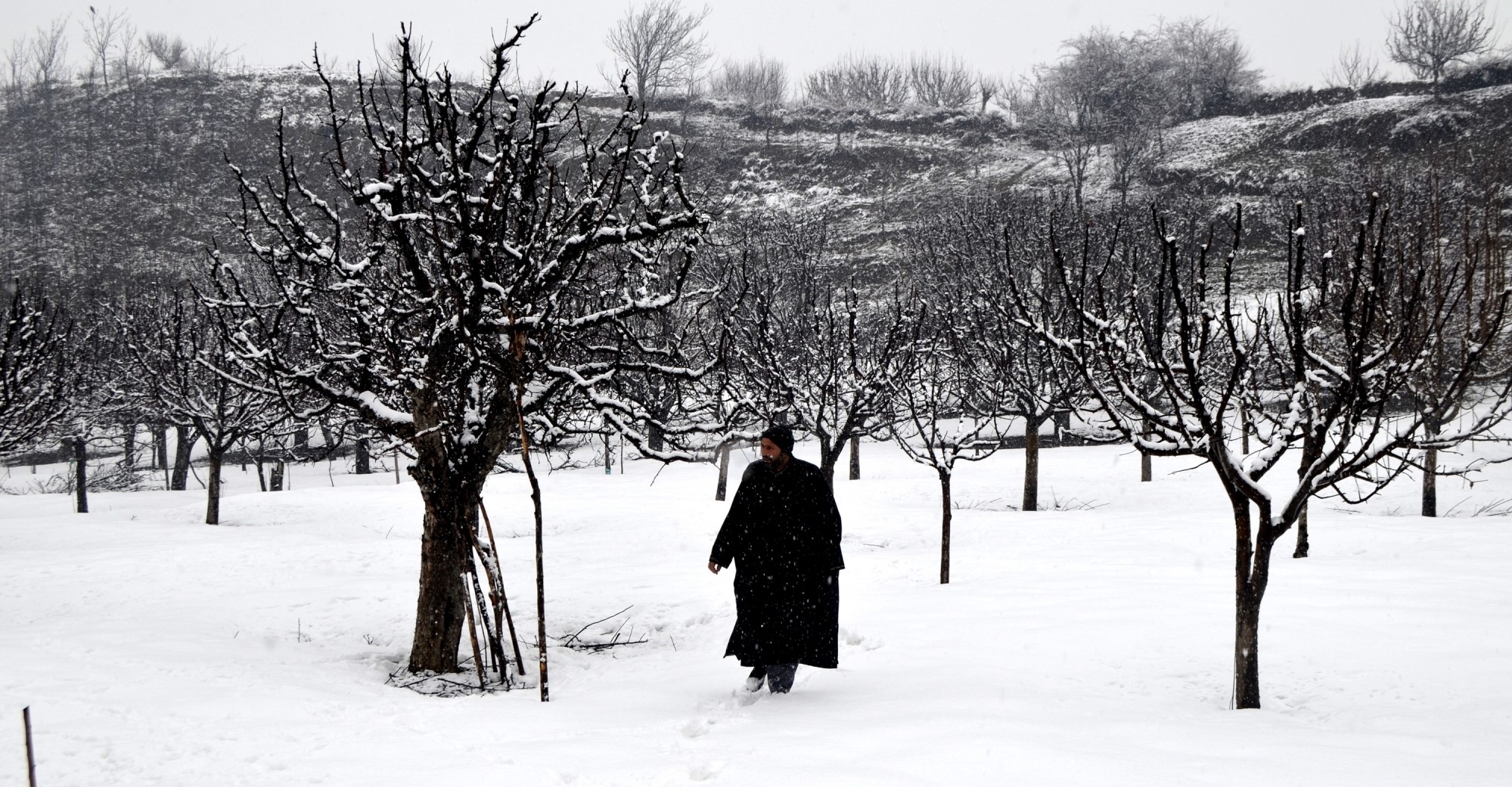 Extreme cold conditions in US Midwest claim 29 lives; weather likely to improve