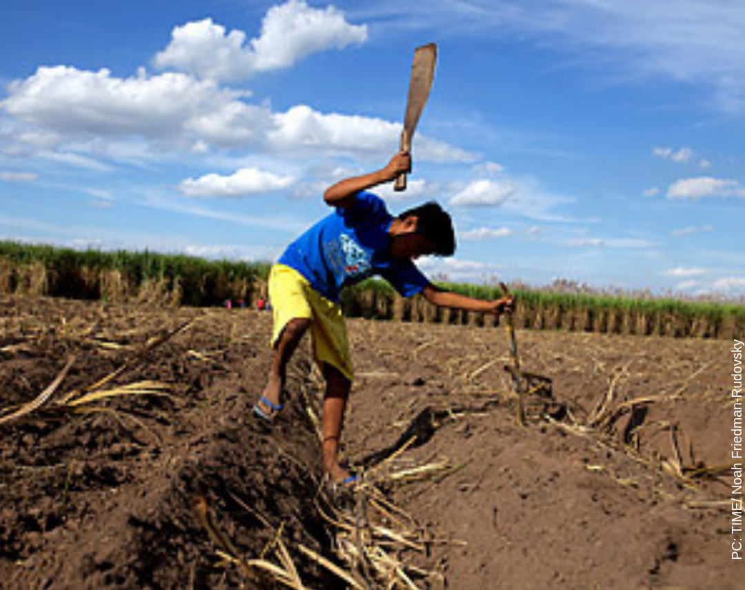 Child Labour’s New Cheerleaders: Authoritarian Governments in Latin America