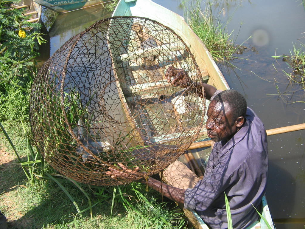 Yala Swamp has potential to improve Kenya's ranking in SDGs 14 and 15